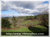 Click na foto para ampliar!