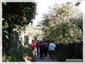 Click na foto para ampliar!