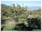 Click na foto para ampliar!