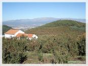 Click na foto para ampliar!