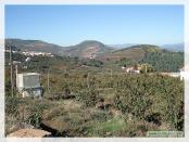 Click na foto para ampliar!