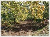 Click na foto para ampliar!