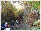 Click na foto para ampliar!