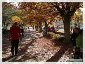 Click na foto para ampliar!