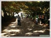 Click na foto para ampliar!