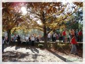 Click na foto para ampliar!