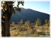 Click na foto para ampliar!