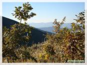 Click na foto para ampliar!