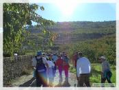 Click na foto para ampliar!