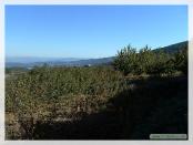 Click na foto para ampliar!