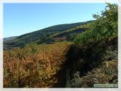 Click na foto para ampliar!