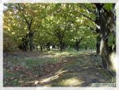 Click na foto para ampliar!