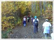 Click na foto para ampliar!