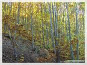 Click na foto para ampliar!