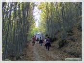 Click na foto para ampliar!