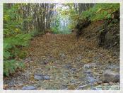 Click na foto para ampliar!