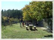 Click na foto para ampliar!