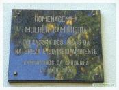 Click na foto para ampliar!