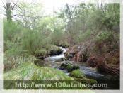 Click na foto para ampliar!