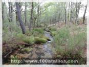 Click na foto para ampliar!