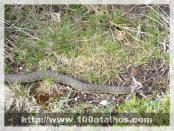 Click na foto para ampliar!