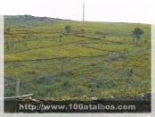 Click na foto para ampliar!