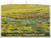 Click na foto para ampliar!