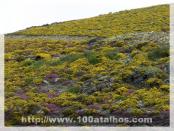 Click na foto para ampliar!