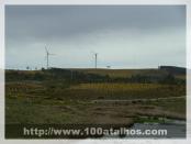 Click na foto para ampliar!