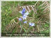 Click na foto para ampliar!