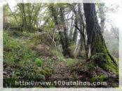 Click na foto para ampliar!