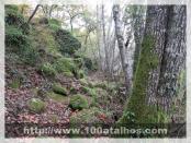 Click na foto para ampliar!