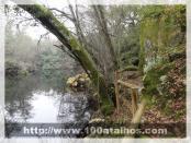 Click na foto para ampliar!