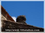 Click na foto para ampliar!