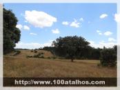 Click na foto para ampliar!