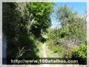 Click na foto para ampliar!