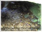 Click na foto para ampliar!