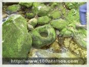 Click na foto para ampliar!