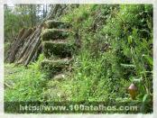 Click na foto para ampliar!