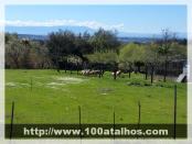 Click na foto para ampliar!