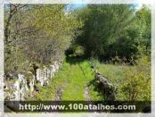 Click na foto para ampliar!