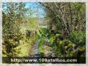 Click na foto para ampliar!