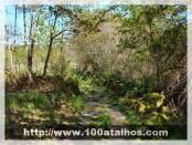 Click na foto para ampliar!