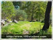 Click na foto para ampliar!