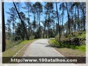 Click na foto para ampliar!