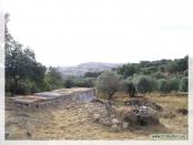 Click na foto para ampliar!