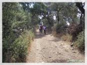 Click na foto para ampliar!