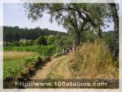 Click na foto para ampliar!