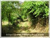 Click na foto para ampliar!