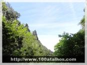 Click na foto para ampliar!